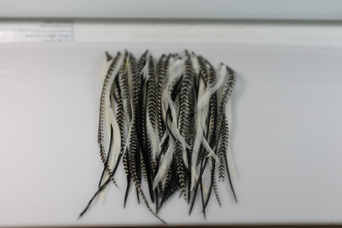 4-6 Genuine Grizzly Black & White Zebra Feathers for Hair Extensions Bonded Together At the Tip Salon Quality Feathers! 5 Feathers - Sexy Sparkles Fashion Jewelry - 5