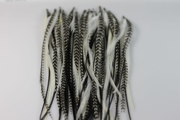 4-6 Genuine Grizzly Black & White Zebra Feathers for Hair Extensions Bonded Together At the Tip Salon Quality Feathers! 5 Feathers - Sexy Sparkles Fashion Jewelry - 1